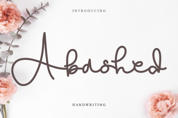 Abashed Script Font Review for Real Projects