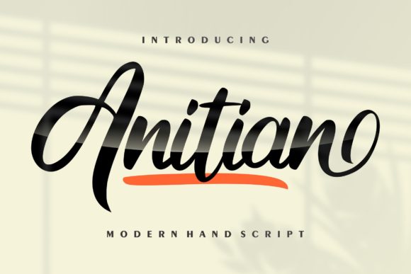Anitian: A Stylish Font for Branding That Speaks Volumes