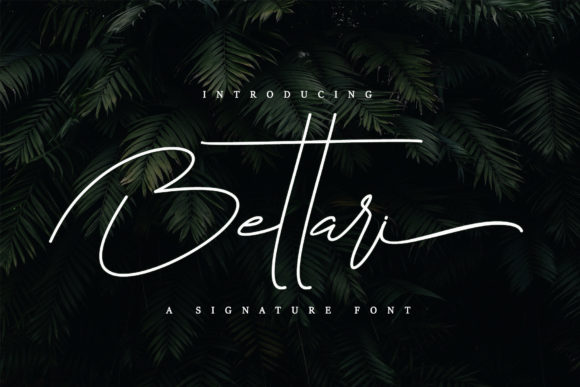 Bettari: A Signature Script Font for Editorial Elegance
