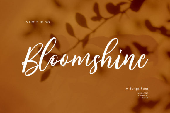 Bloomshine Handwritten Font for Crafters & Sellers