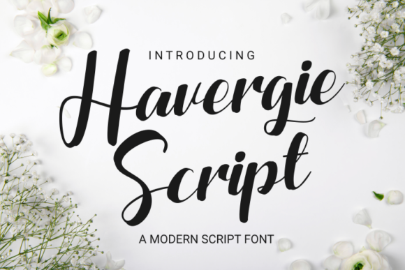 Havergie: A Chic Script Font for Trendy Branding