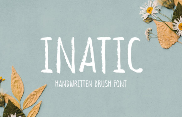 How Inatic Boosted My Campaign’s Visual Clarity